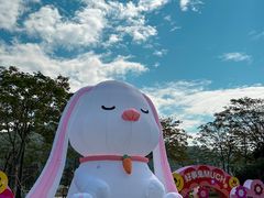 -顺峰山公园