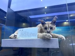 -国家自然博物馆