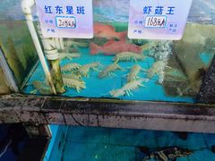 -马王堆海鲜水产市场