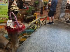 -御膳粥·牛乳粥底火锅·地道顺德菜(容桂店)