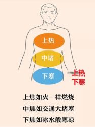 -香薇妮丝·定制减肥·身材管理