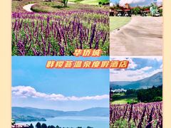 -华侨城阳宗海海景温泉