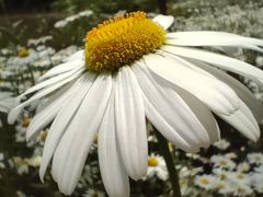 -昆山城市生态森林公园