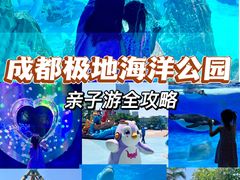 -海合安成都极地海洋公园