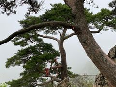 -大连天门山国家森林公园