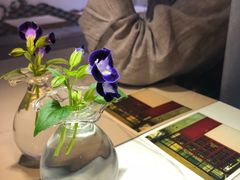-茶是一枝花泡茶店