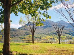 -天鹅湖生态旅游风景区