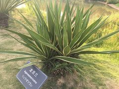 -厦门悦华酒店