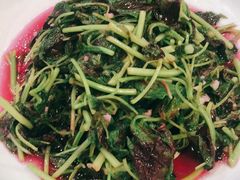 蒜香苋菜-501號台州海鲜餐厅(海创园店)