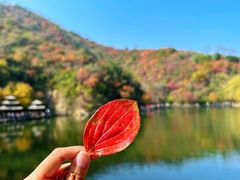 -九如山休闲旅游度假区