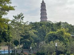 -顺峰山公园