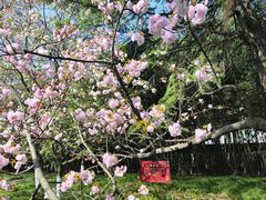 -西安青龙寺遗址景区