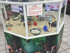 -欧尚超市苏州店停车场(金鸡湖路店)