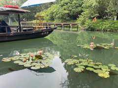 -西溪国家湿地公园