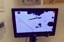 -痘院长·祛痘·皮肤管理