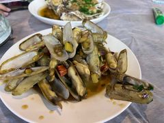 蛏子-健跳小海鲜(人民路店)