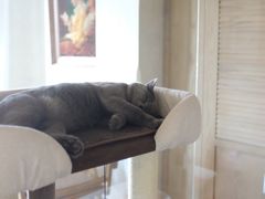 -Me Coffee下午茶艺术空间