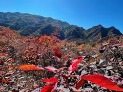 -水峪民俗村