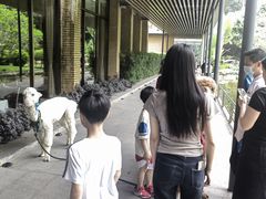 -南宁荔园维景国际酒店·荔园中餐厅