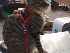 -叁秋咖啡 SANQIU COFFEE(天津河北路店)