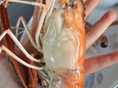 -蟹村草堂·苏式园林人文农家·大闸蟹