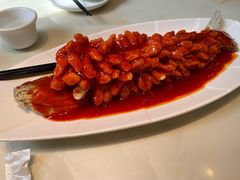 -刘胖子家常菜·蹄花焖藕(兴业店)