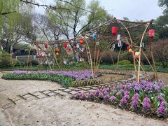 -上海醉白池公园