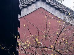 -钱王祠