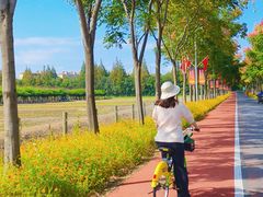 -上海长兴岛郊野公园