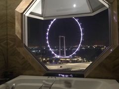 -新加坡丽思卡尔顿美年酒店