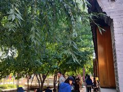 -春风习习