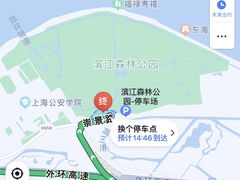 -上海滨江森林公园