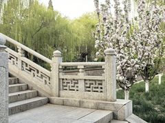 -元大都城垣遗址公园