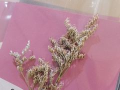 -XI·LaundryCafe 喜咖自助洗衣咖啡店