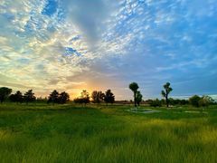 -汉长安城未央宫国家考古遗址公园