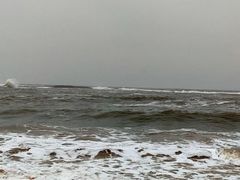 -渡海小渔村.老辈日照菜