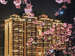 -西北湖绿化广场