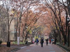 -宾夕法尼亚大学沃顿商学院