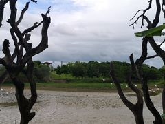 -鹤之洲湿地公园