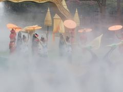 -西双版纳原始森林公园