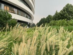 -佳明游泳馆(惠新西街南口店)