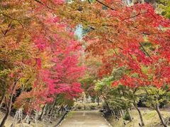 -醍醐寺