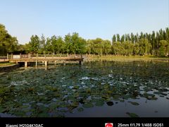 -西安浐灞国家湿地公园