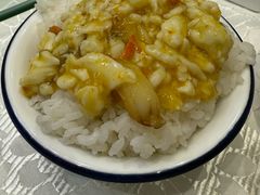 -丁老爷子苏香圆