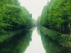 -松鹤楼(狮山永利广场店)