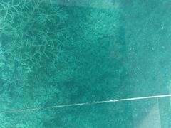-蓝湾海滩