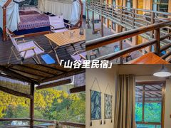 -长沙黑麋峰国家森林公园