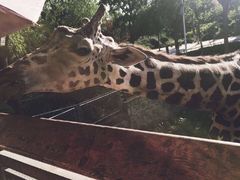 -石家庄市动物园