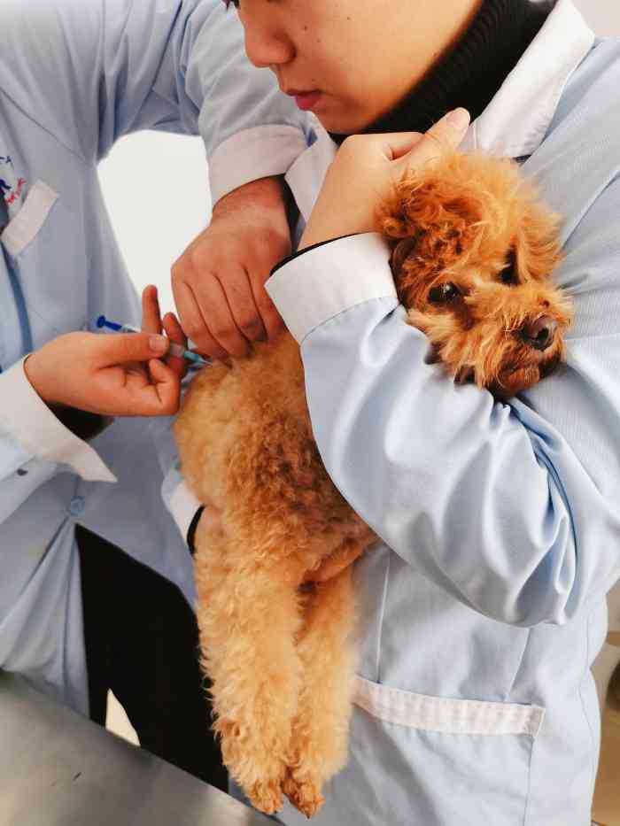 往年都是打卫佳捌和瑞