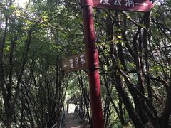 -辋川溶洞
